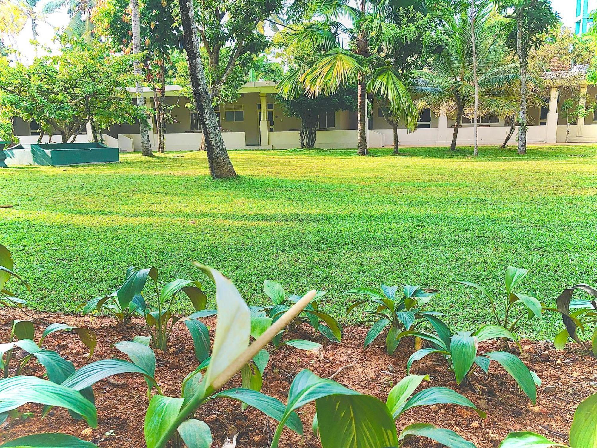 Paradise Garden بيروفالا المظهر الخارجي الصورة