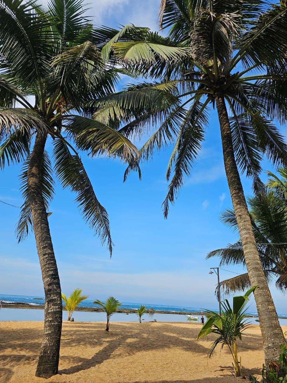 Paradise Garden بيروفالا المظهر الخارجي الصورة